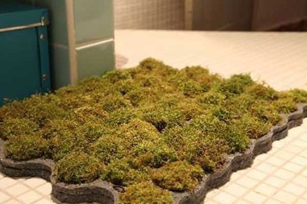 Live moss carpet ковер