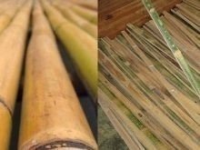 Бамбуковые палки огород