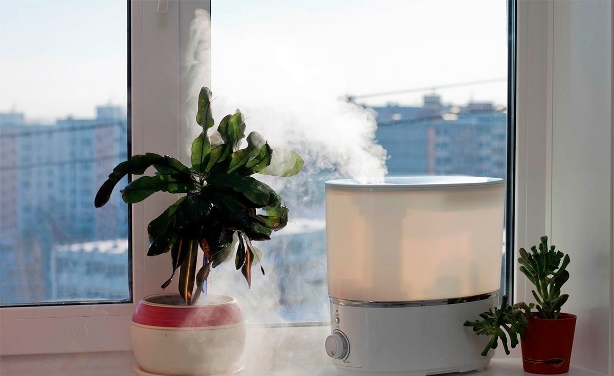 Увлажнитель воздуха для растений
