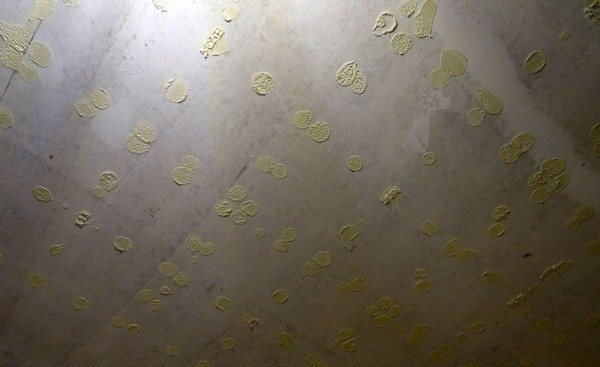 Желтая грязная старая потолочная плитка