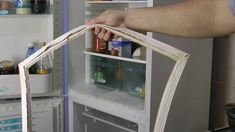 Электролюкс холодильник уплотнительная резинка